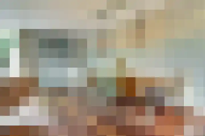 Van Deelenstraat 106 Oudheusden thumbnail 4