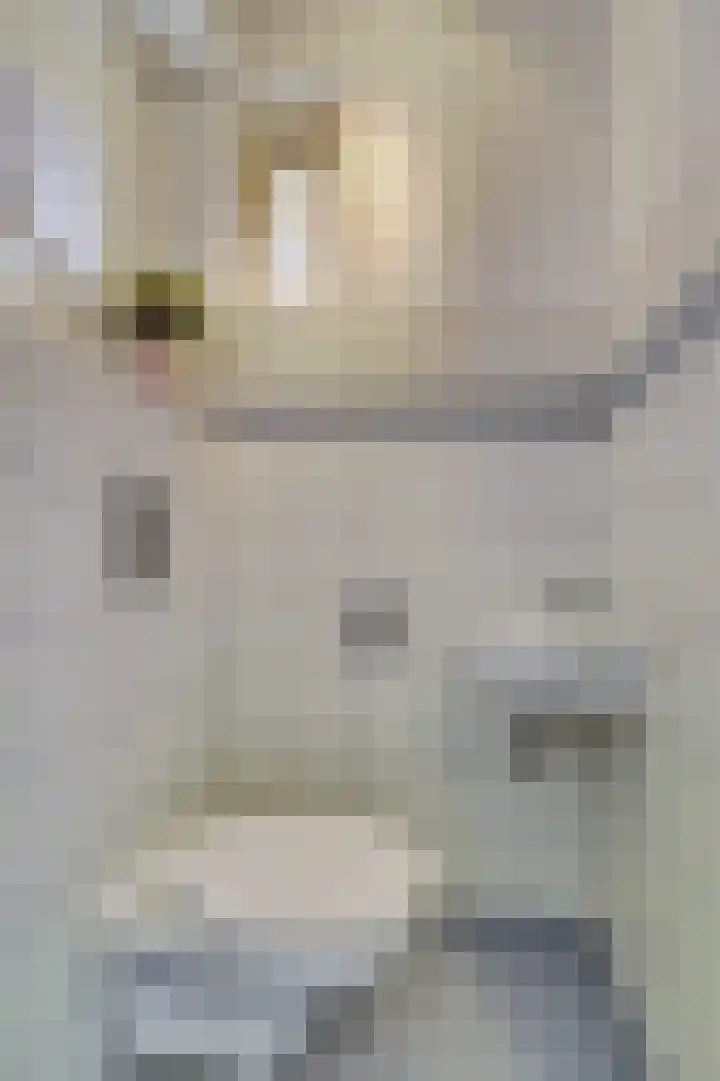 Van Deelenstraat 106 Oudheusden thumbnail 7