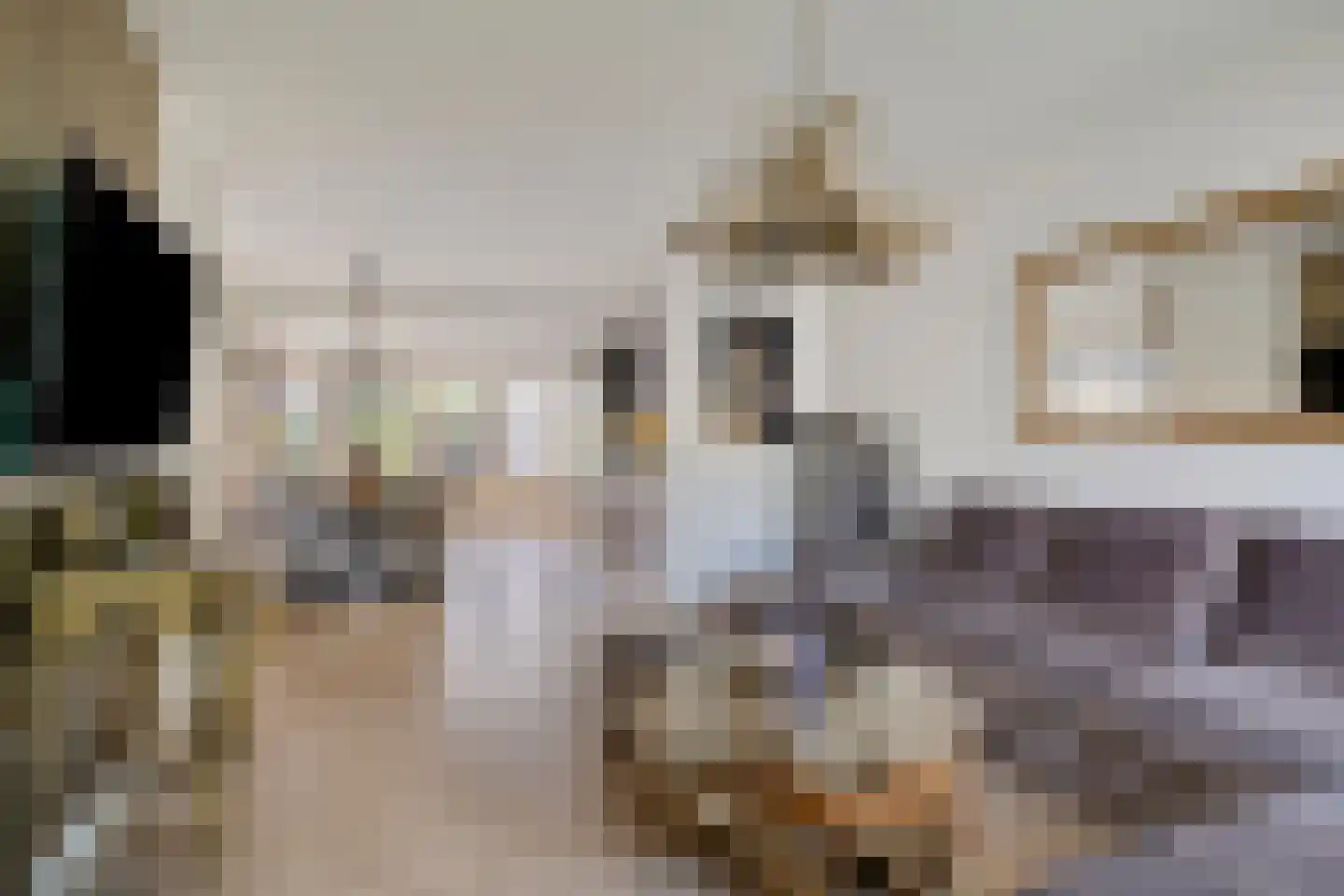 Van Deelenstraat 109 Oudheusden thumbnail 10