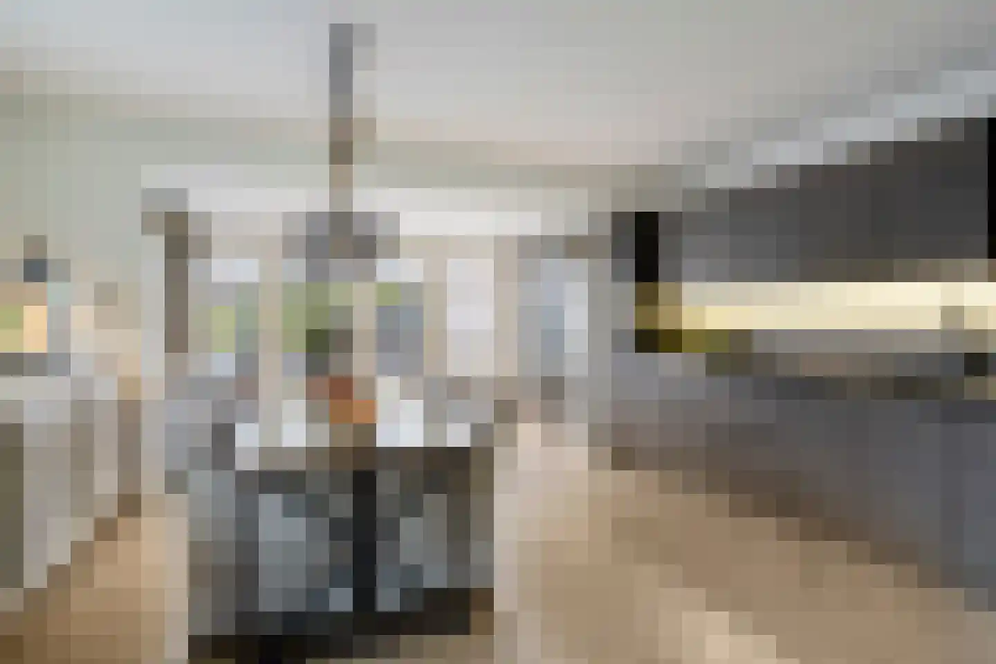 Van Deelenstraat 109 Oudheusden thumbnail 11