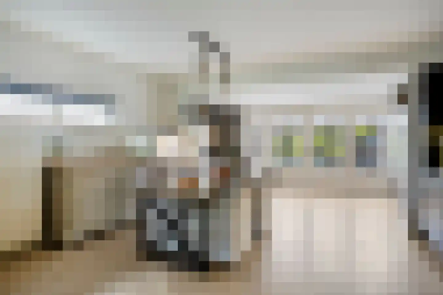 Van Deelenstraat 109 Oudheusden thumbnail 12