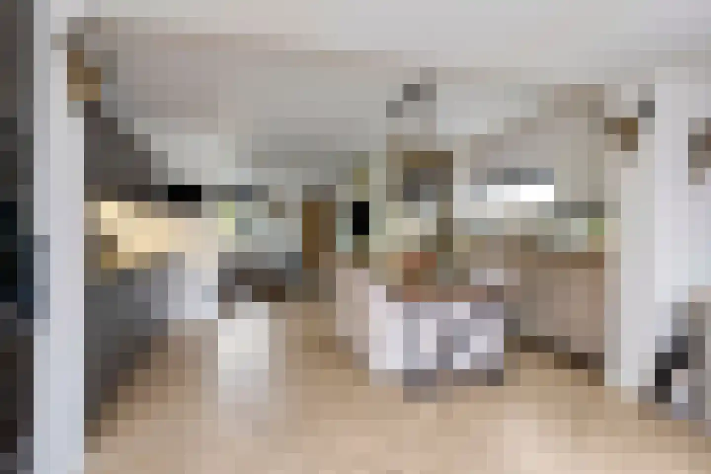 Van Deelenstraat 109 Oudheusden thumbnail 13