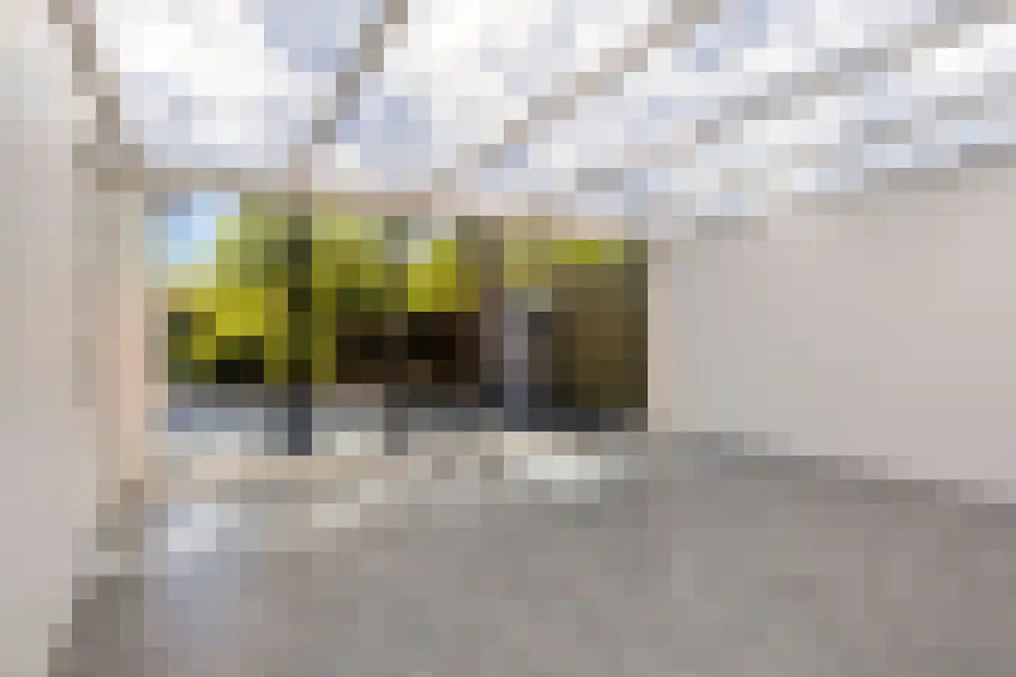 Van Deelenstraat 109 Oudheusden thumbnail 14
