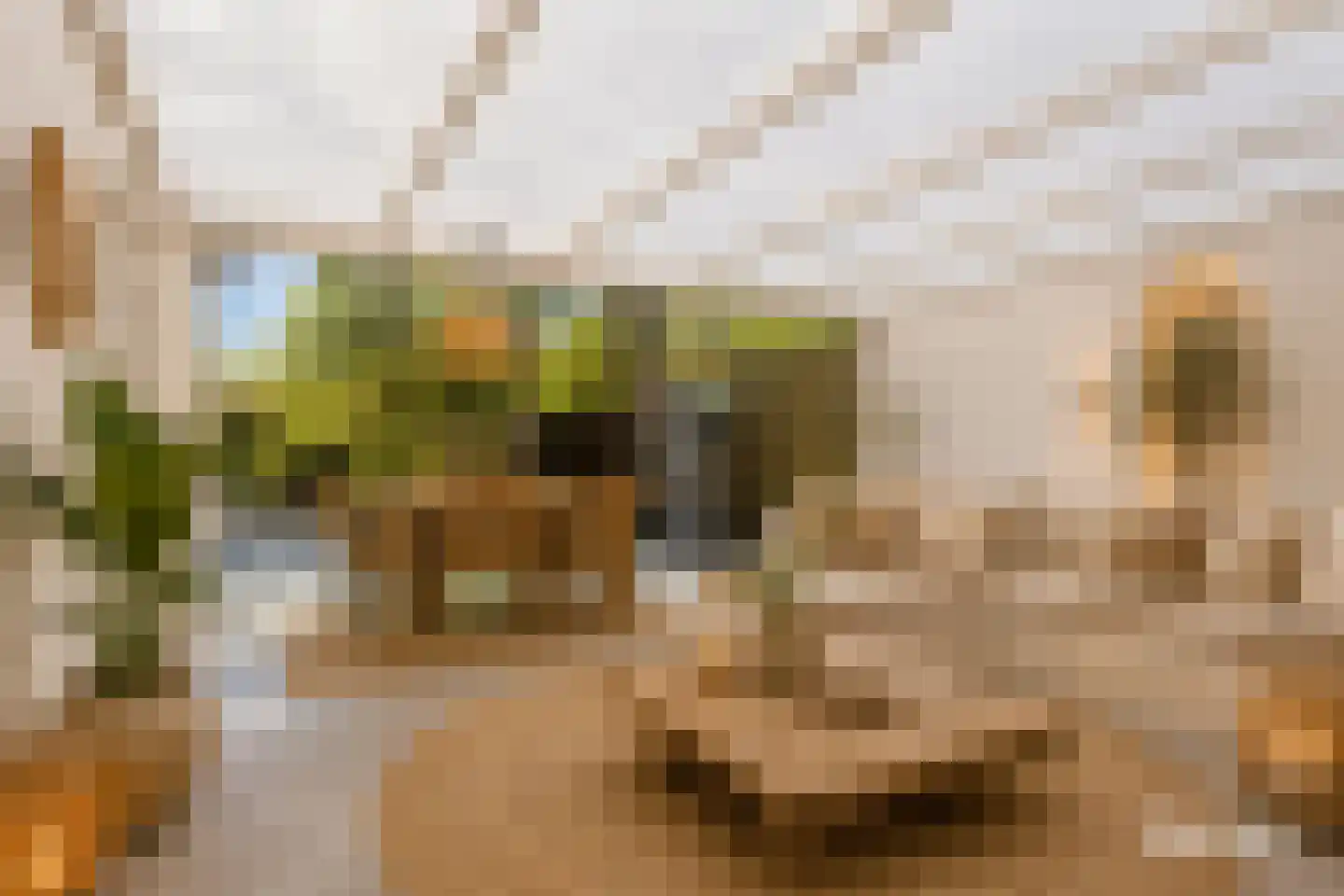 Van Deelenstraat 109 Oudheusden thumbnail 15