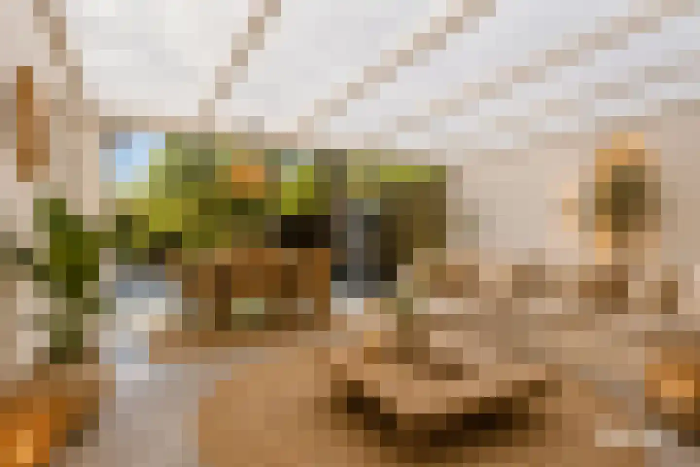 Van Deelenstraat 109 Oudheusden thumbnail 18