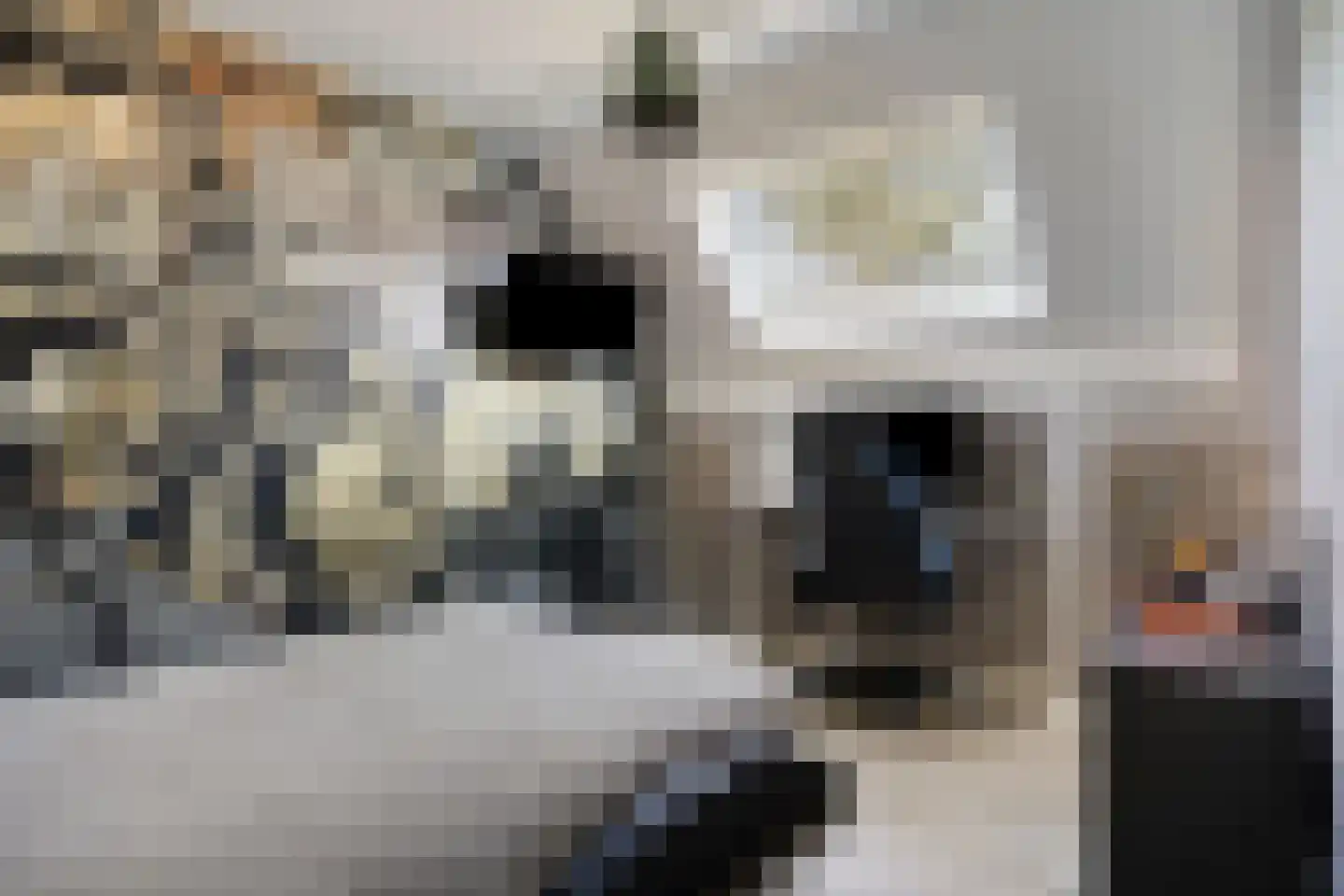 Van Deelenstraat 109 Oudheusden thumbnail 20