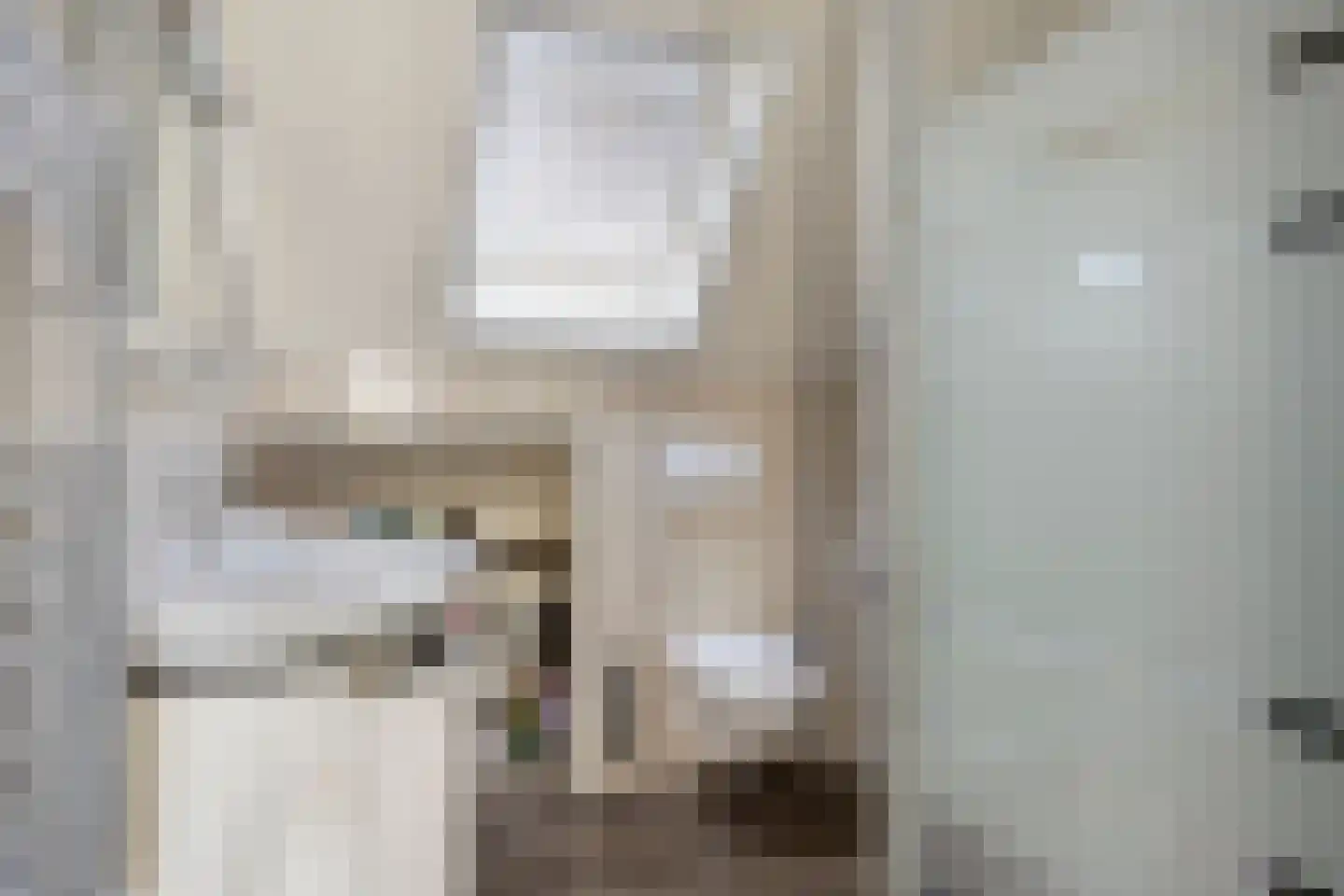 Van Deelenstraat 109 Oudheusden thumbnail 21