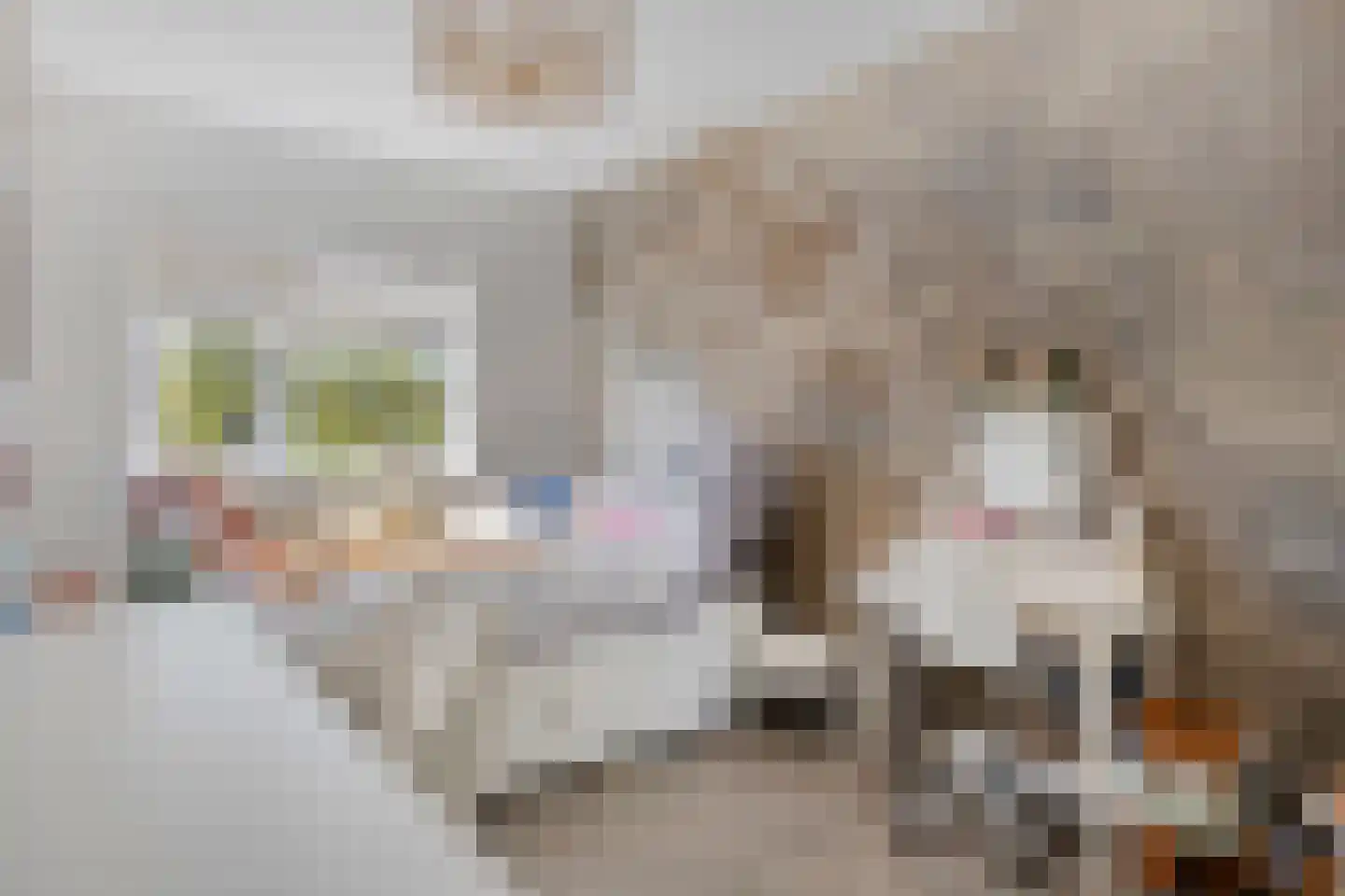 Van Deelenstraat 109 Oudheusden thumbnail 23