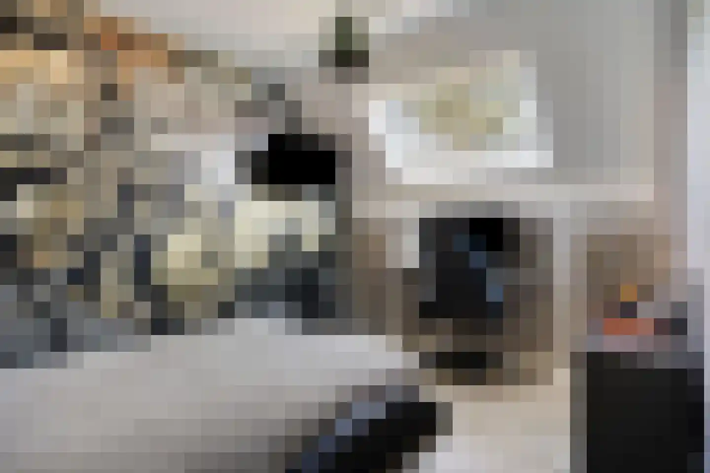 Van Deelenstraat 109 Oudheusden thumbnail 25