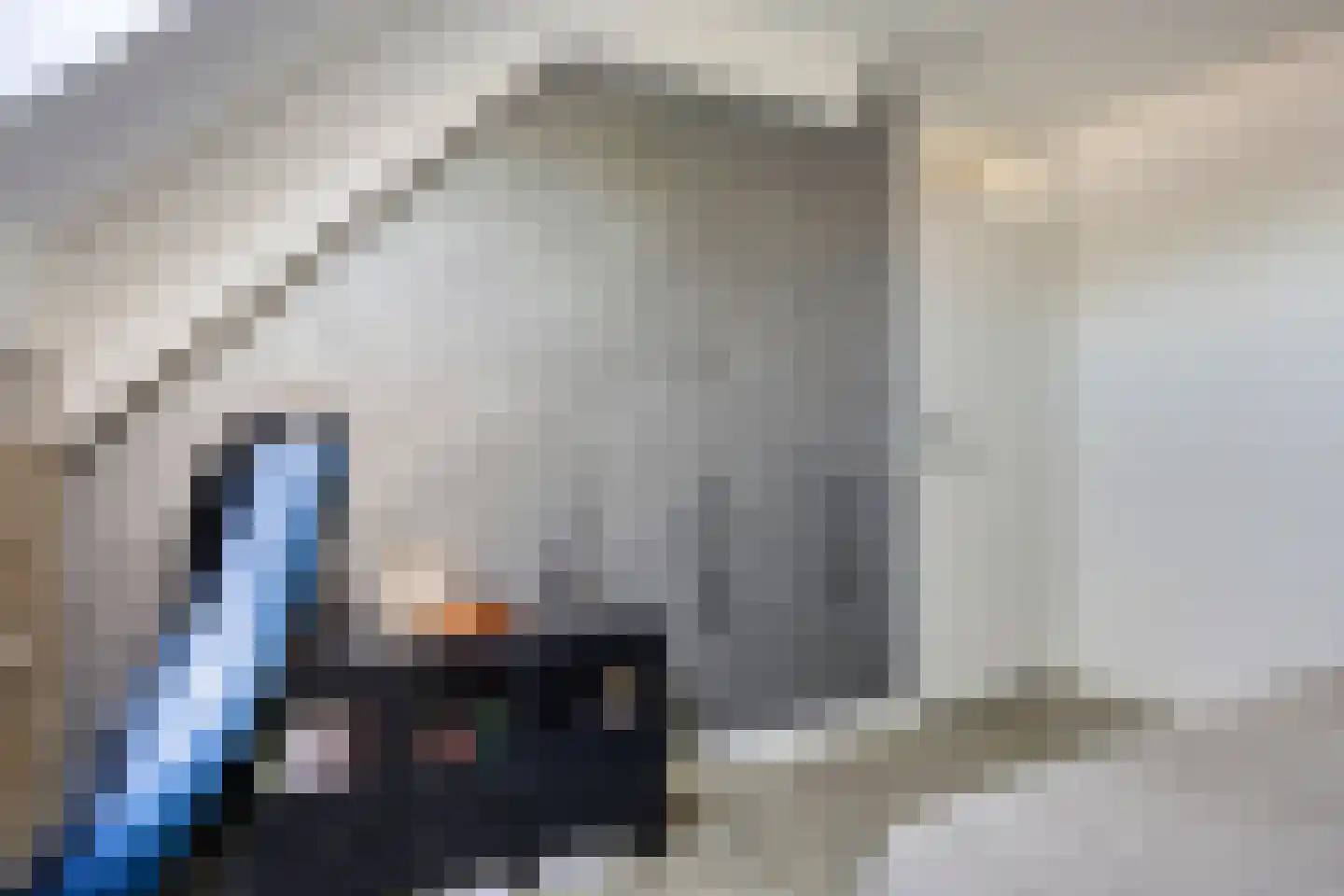 Van Deelenstraat 109 Oudheusden thumbnail 26