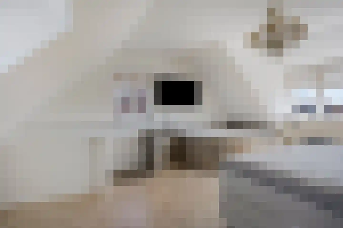 Van Deelenstraat 109 Oudheusden thumbnail 26