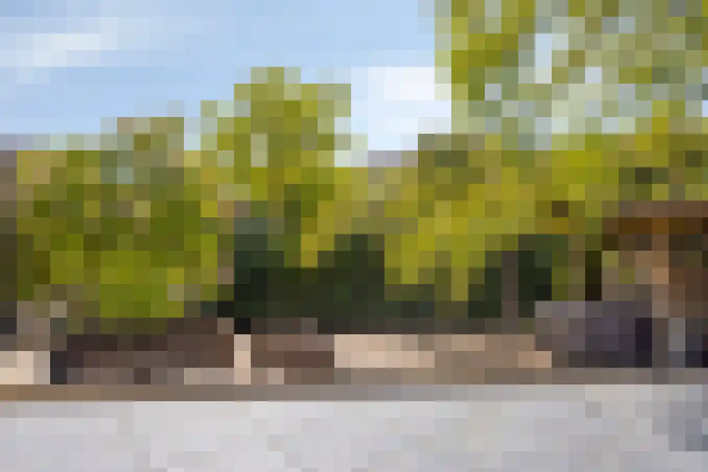 Van Deelenstraat 109 Oudheusden thumbnail 29