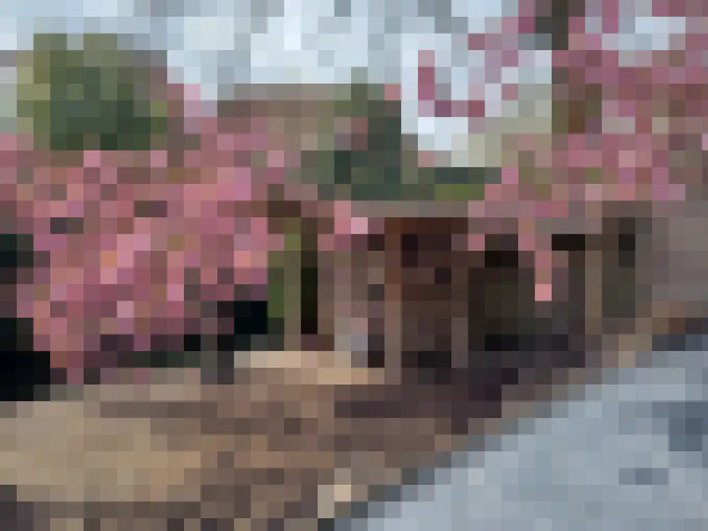 Van Deelenstraat 109 Oudheusden thumbnail 31