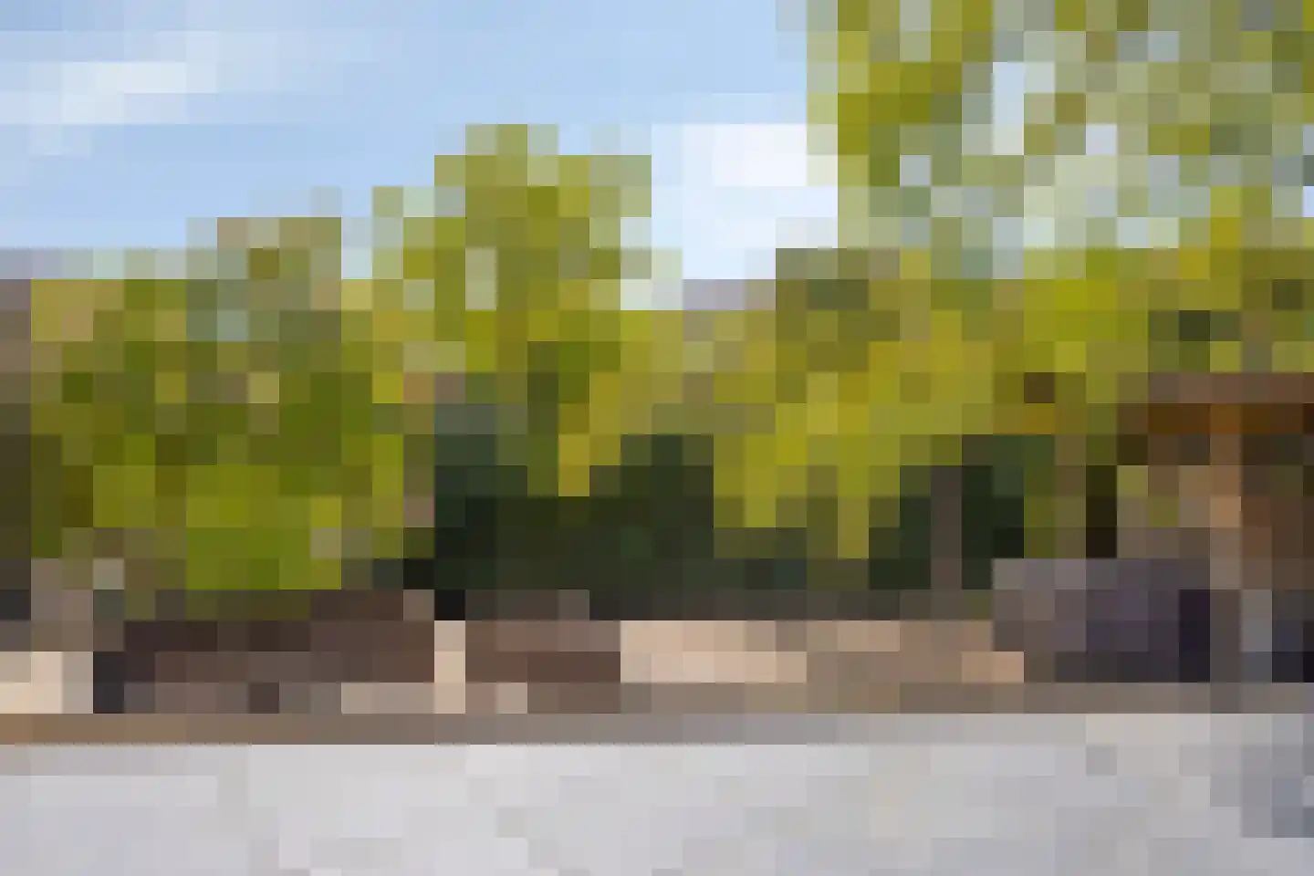 Van Deelenstraat 109 Oudheusden thumbnail 38