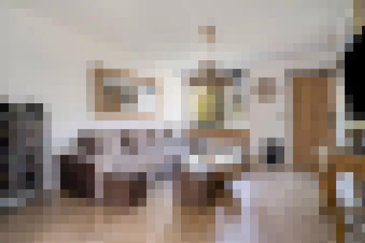 Van Deelenstraat 109 Oudheusden thumbnail 8