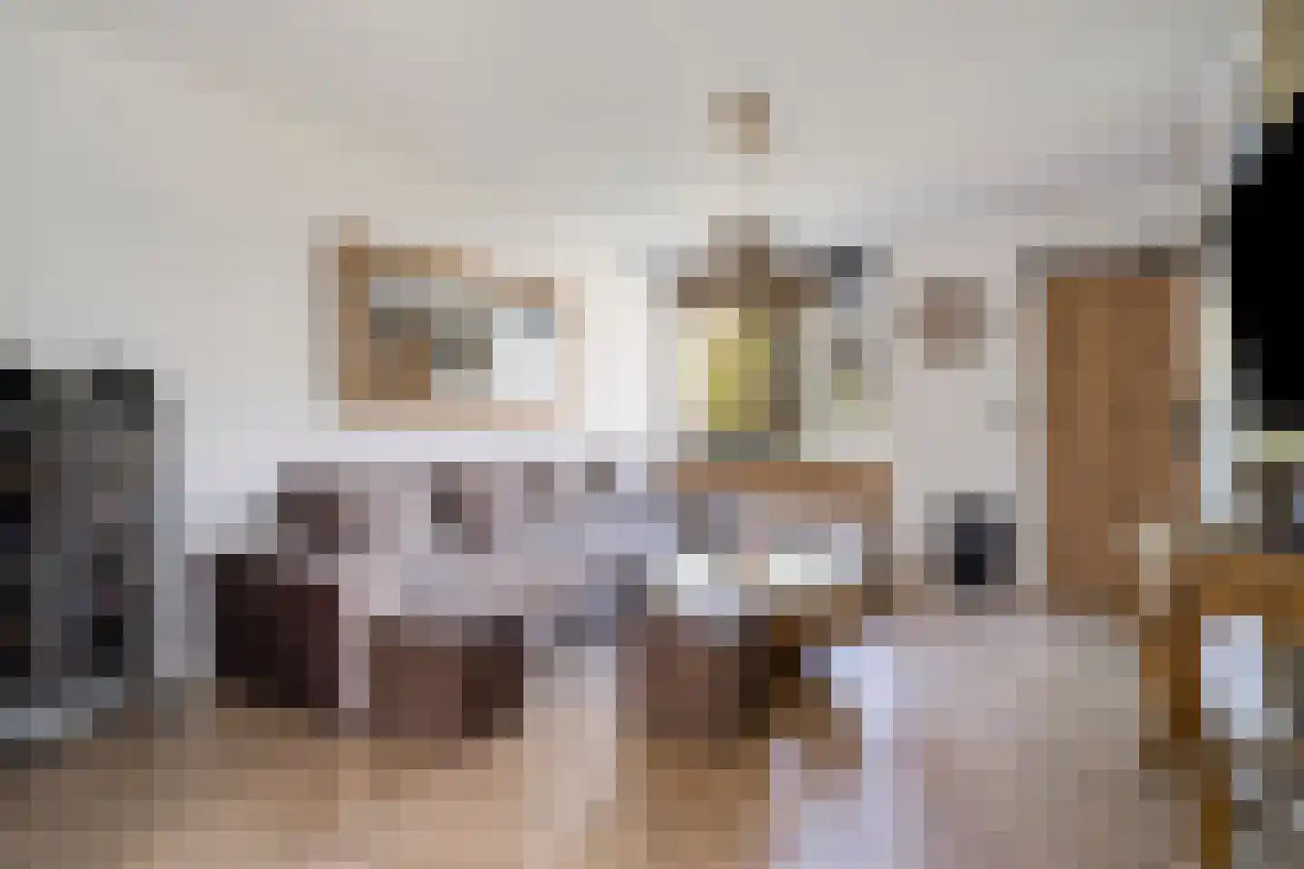 Van Deelenstraat 109 Oudheusden thumbnail 8