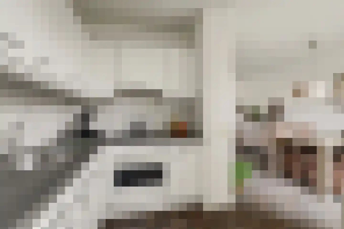 Van Deelenstraat 120 Oudheusden thumbnail 10