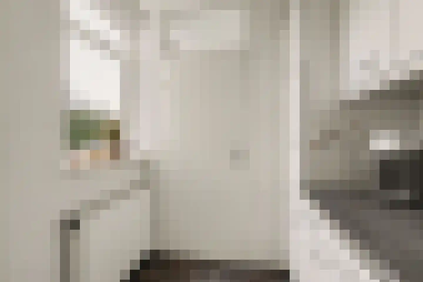 Van Deelenstraat 120 Oudheusden thumbnail 12
