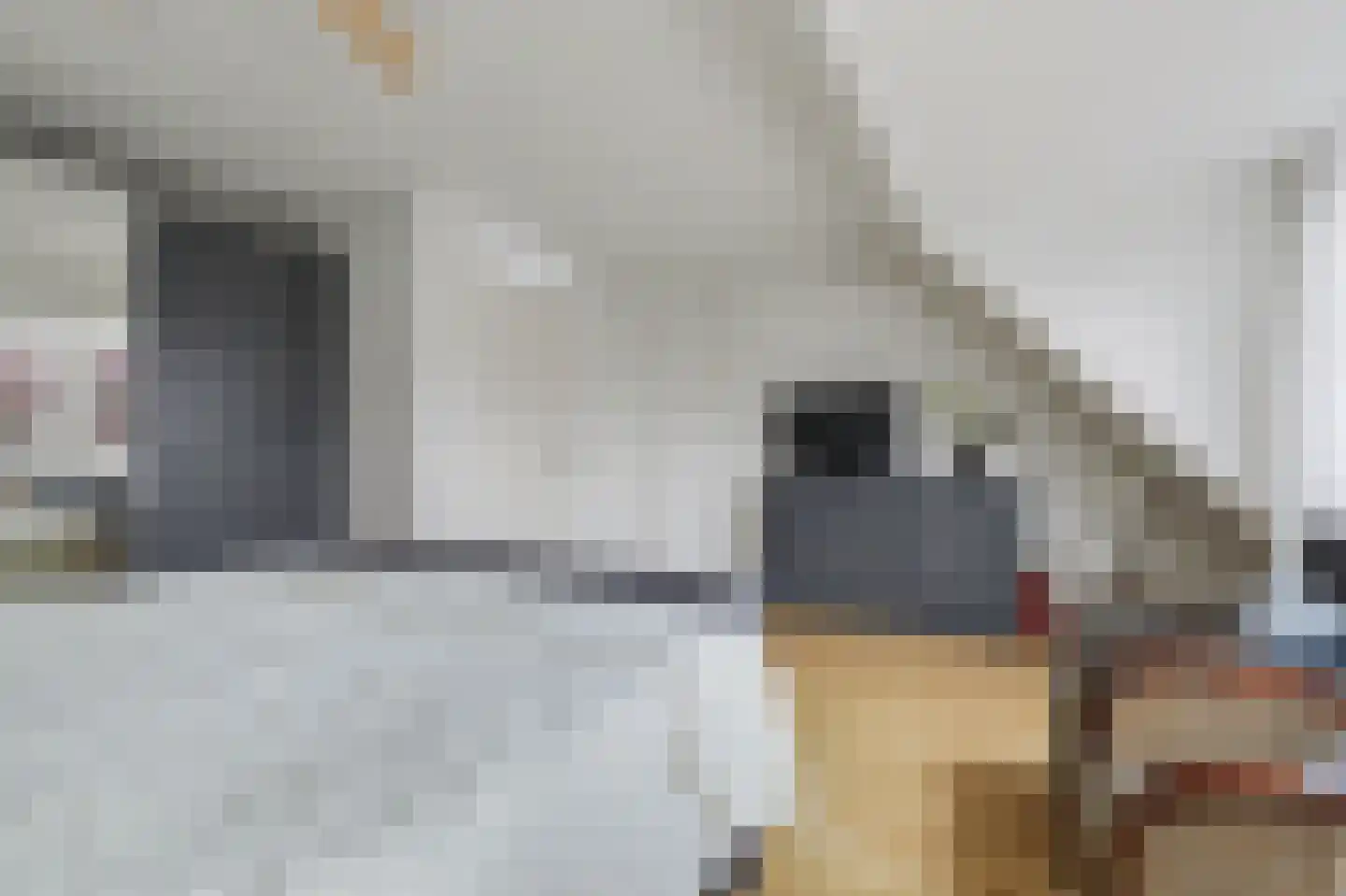 Van Deelenstraat 120 Oudheusden thumbnail 19
