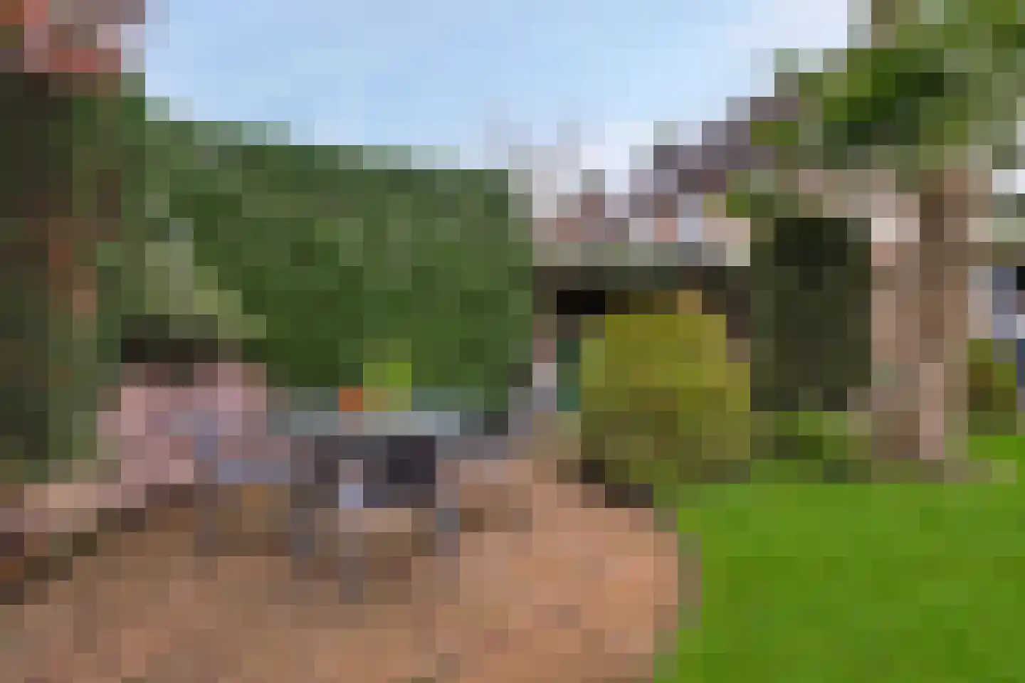 Van Deelenstraat 120 Oudheusden thumbnail 37
