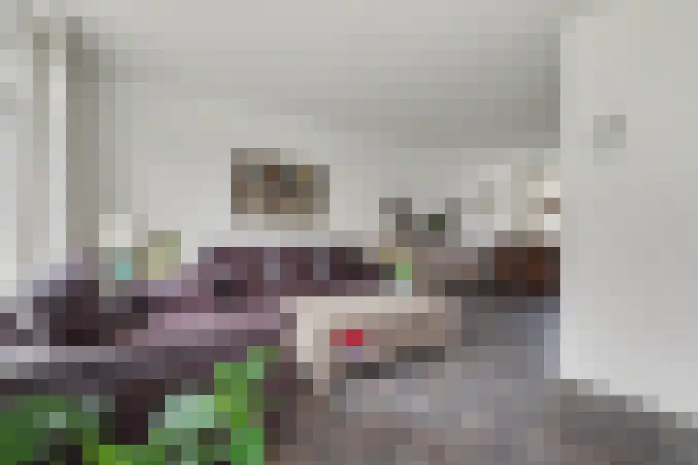 Van Deelenstraat 120 Oudheusden thumbnail 4