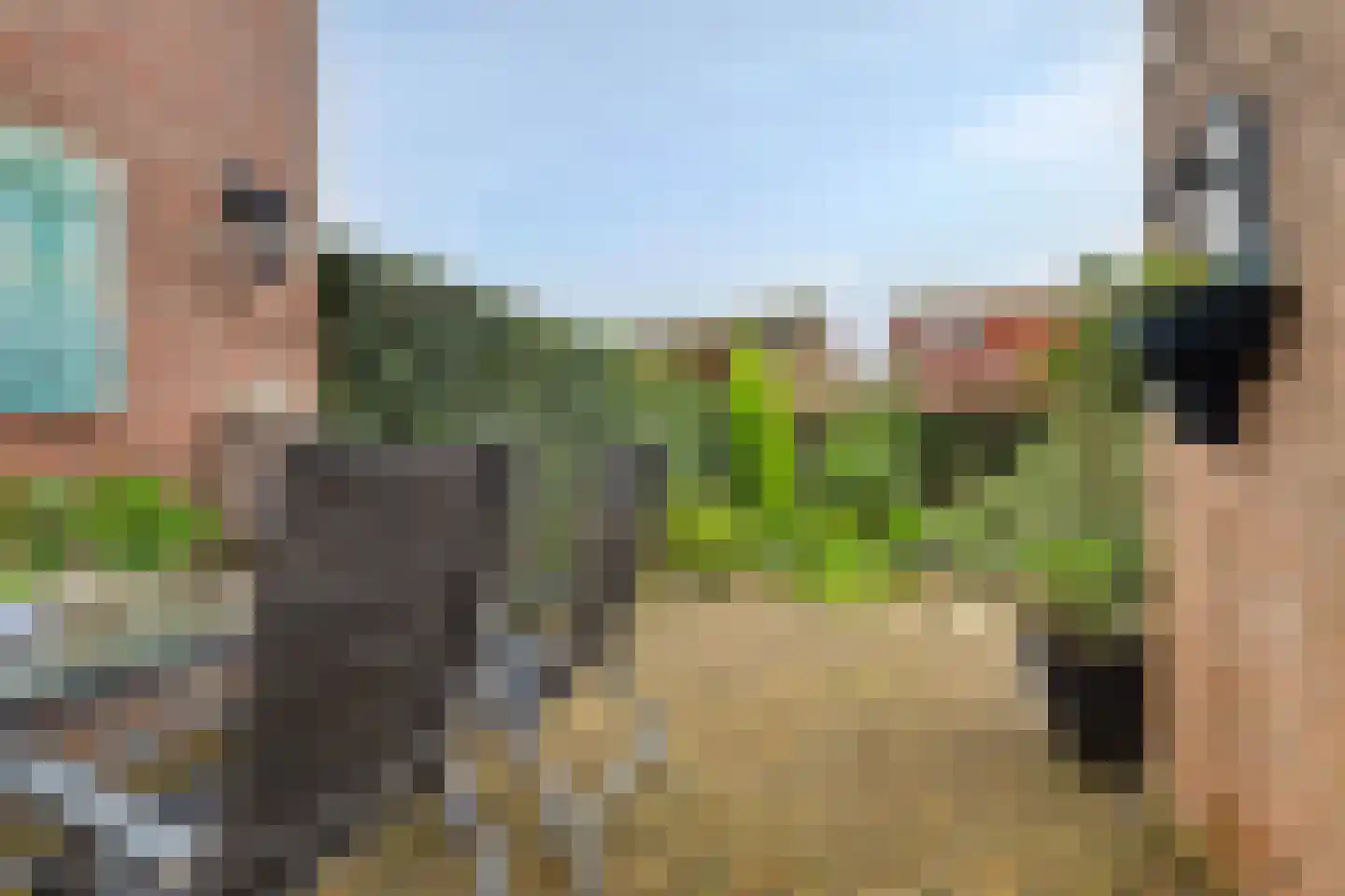 Van Deelenstraat 120 Oudheusden thumbnail 40