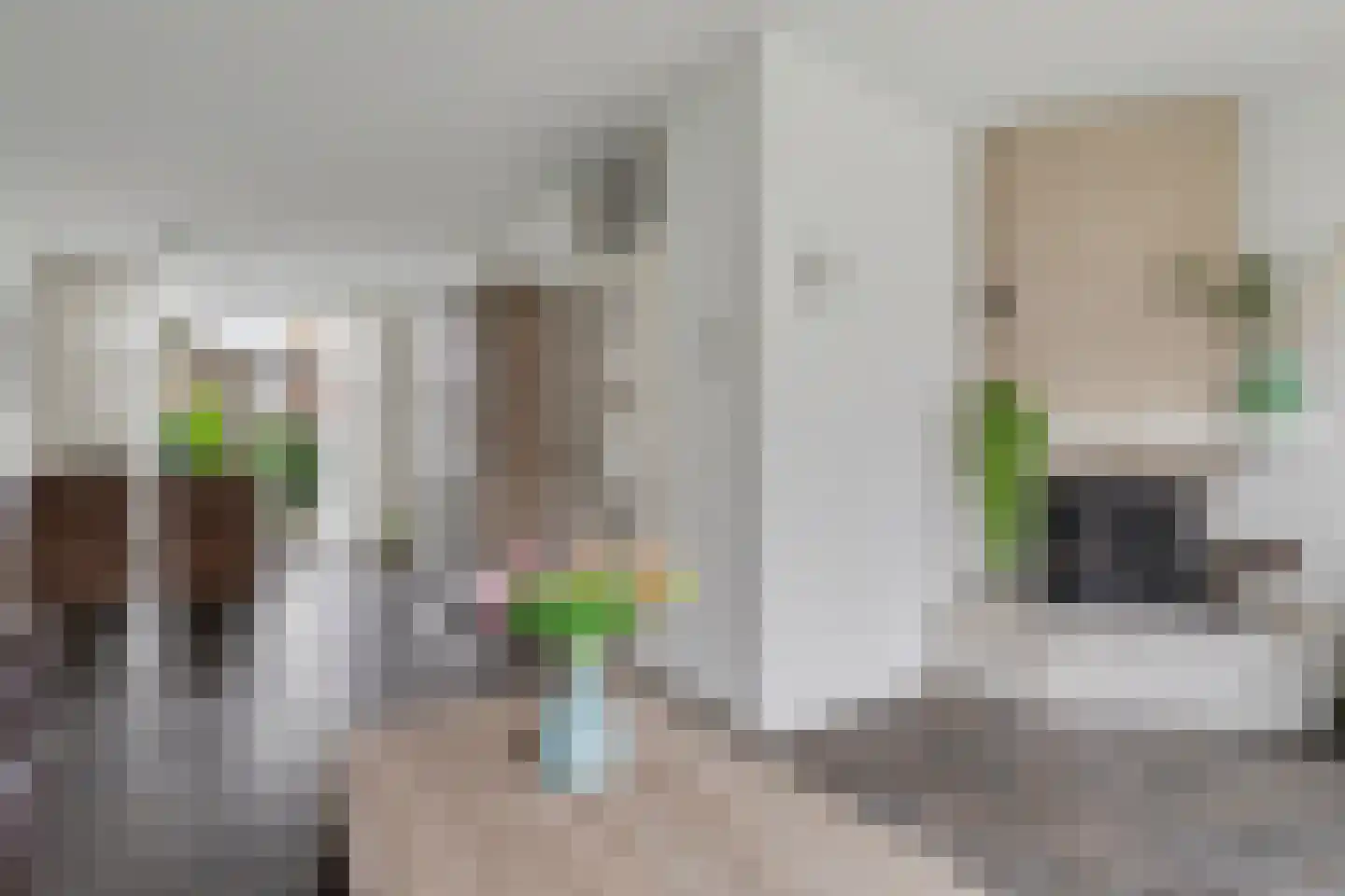 Van Deelenstraat 120 Oudheusden thumbnail 7
