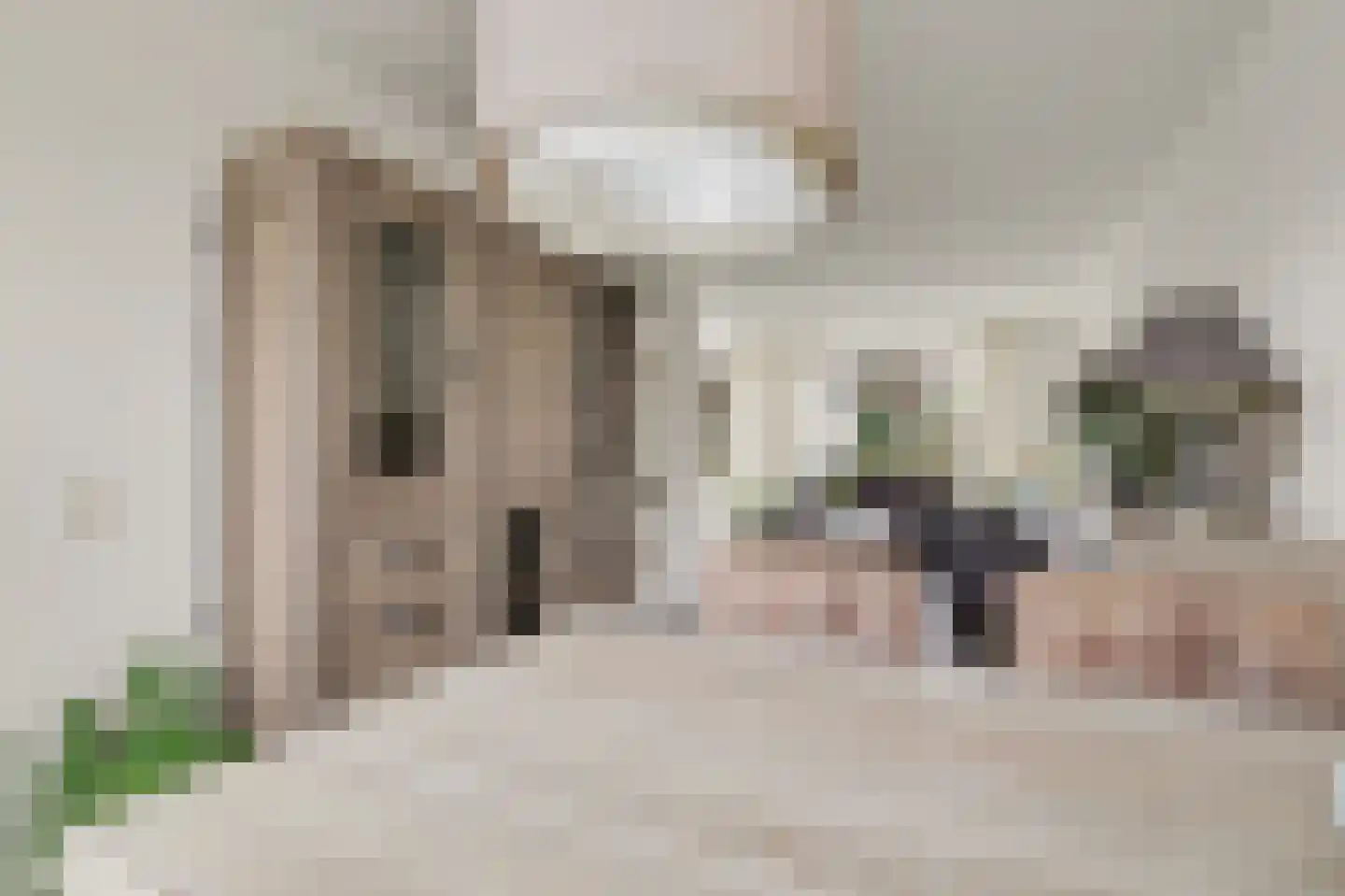 Van Deelenstraat 120 Oudheusden thumbnail 9