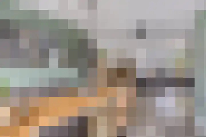 Van Deelenstraat 122 Oudheusden thumbnail 10