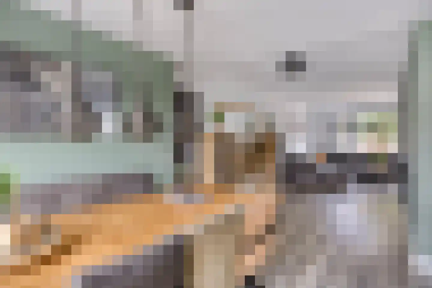 Van Deelenstraat 122 Oudheusden thumbnail 10