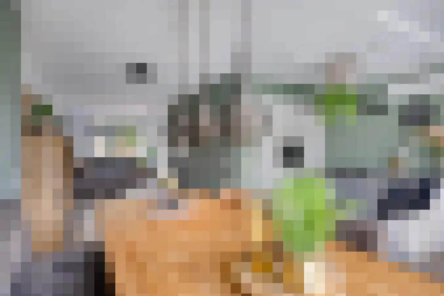 Van Deelenstraat 122 Oudheusden thumbnail 11