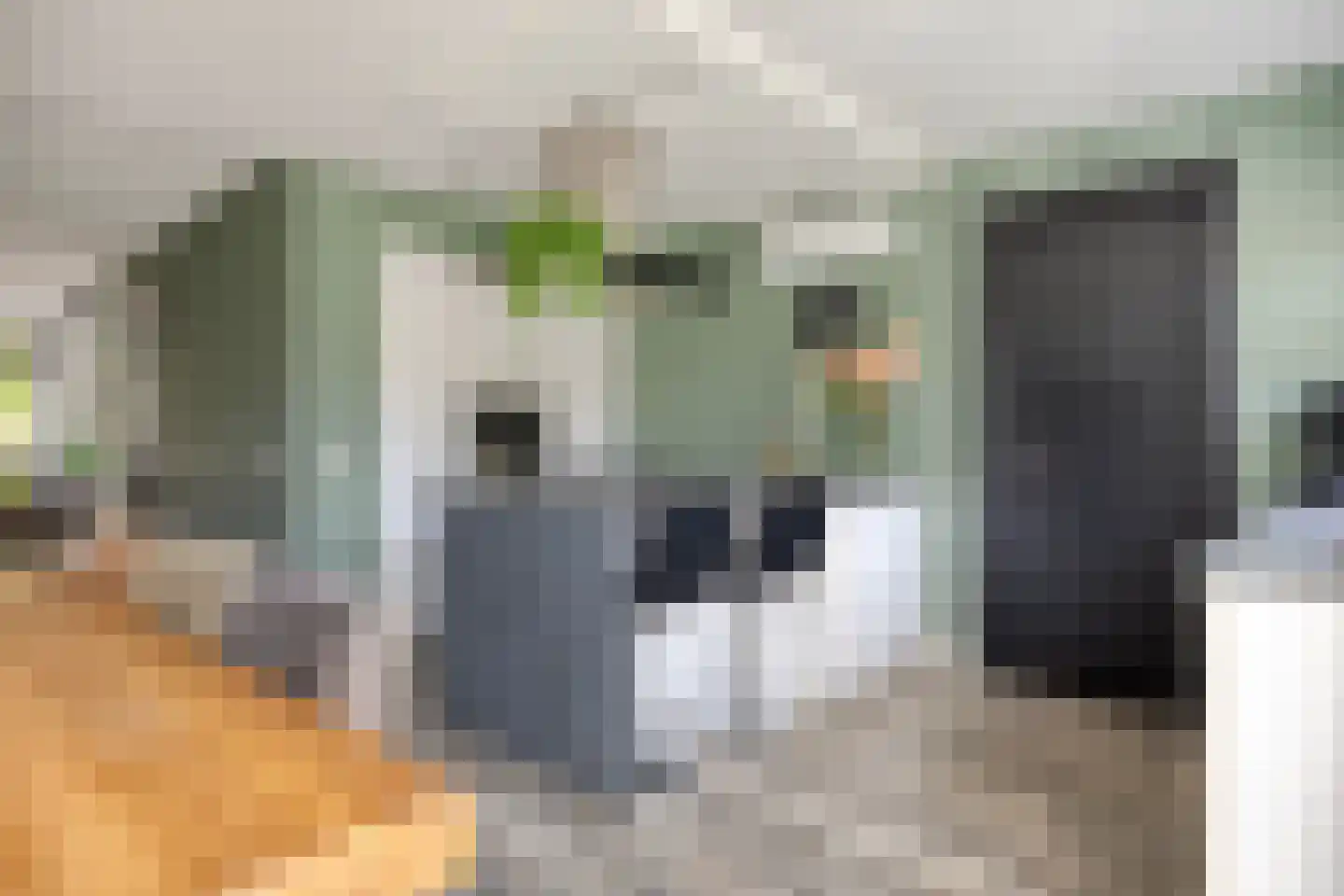 Van Deelenstraat 122 Oudheusden thumbnail 13