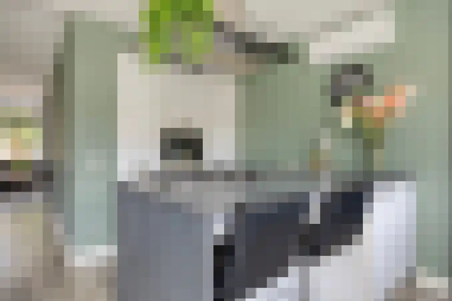 Van Deelenstraat 122 Oudheusden thumbnail 14