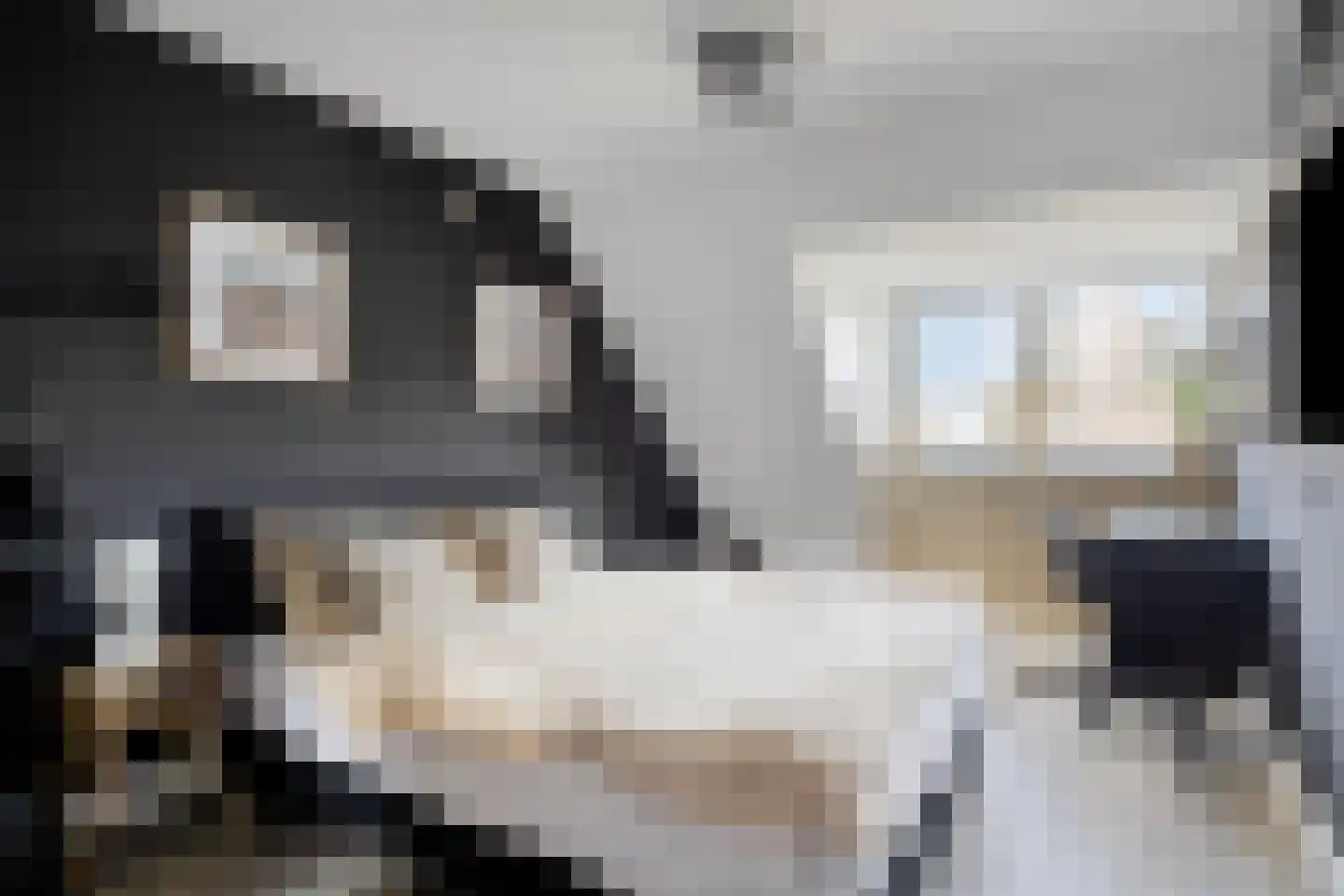 Van Deelenstraat 122 Oudheusden thumbnail 16