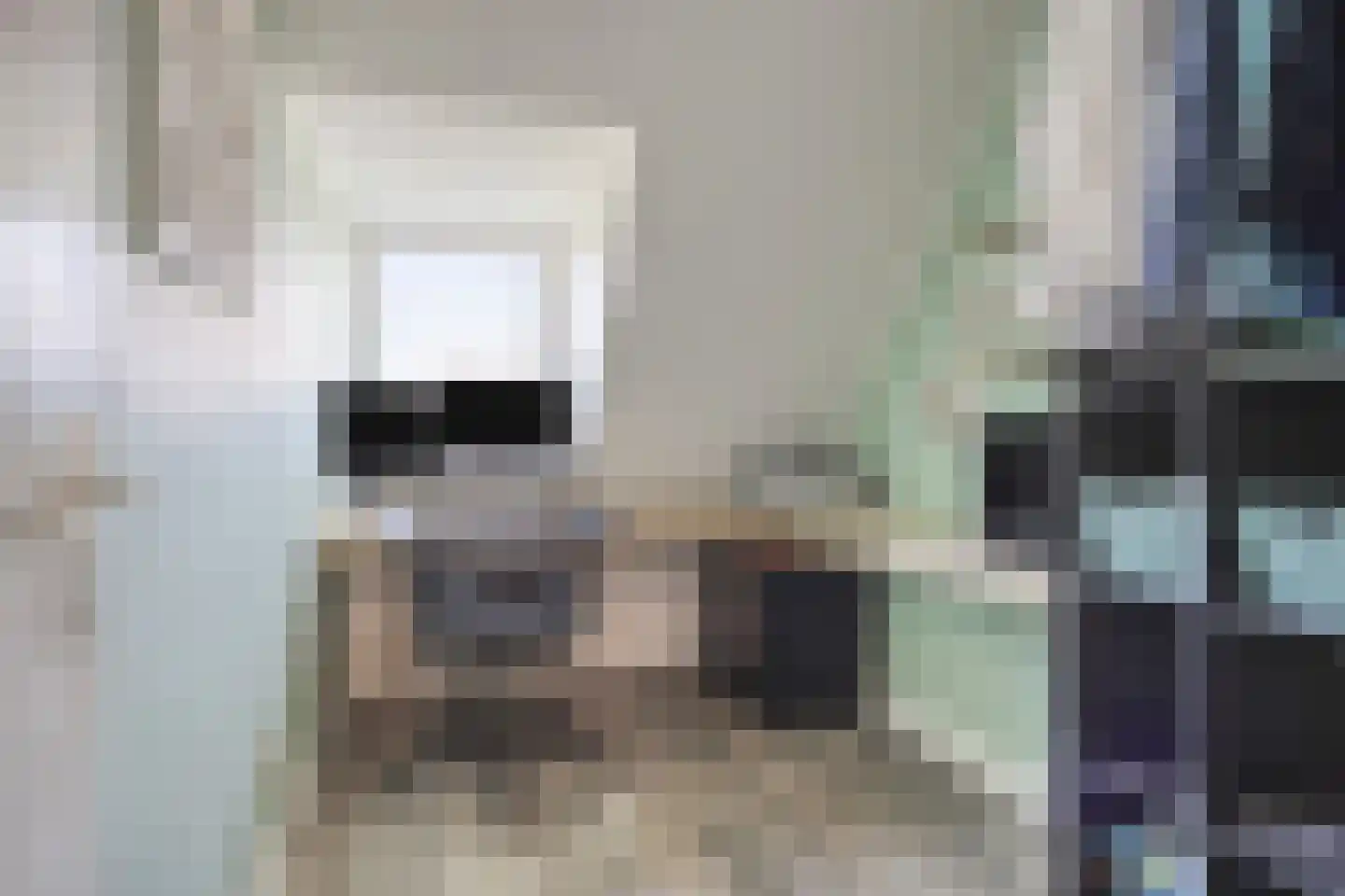 Van Deelenstraat 122 Oudheusden thumbnail 25
