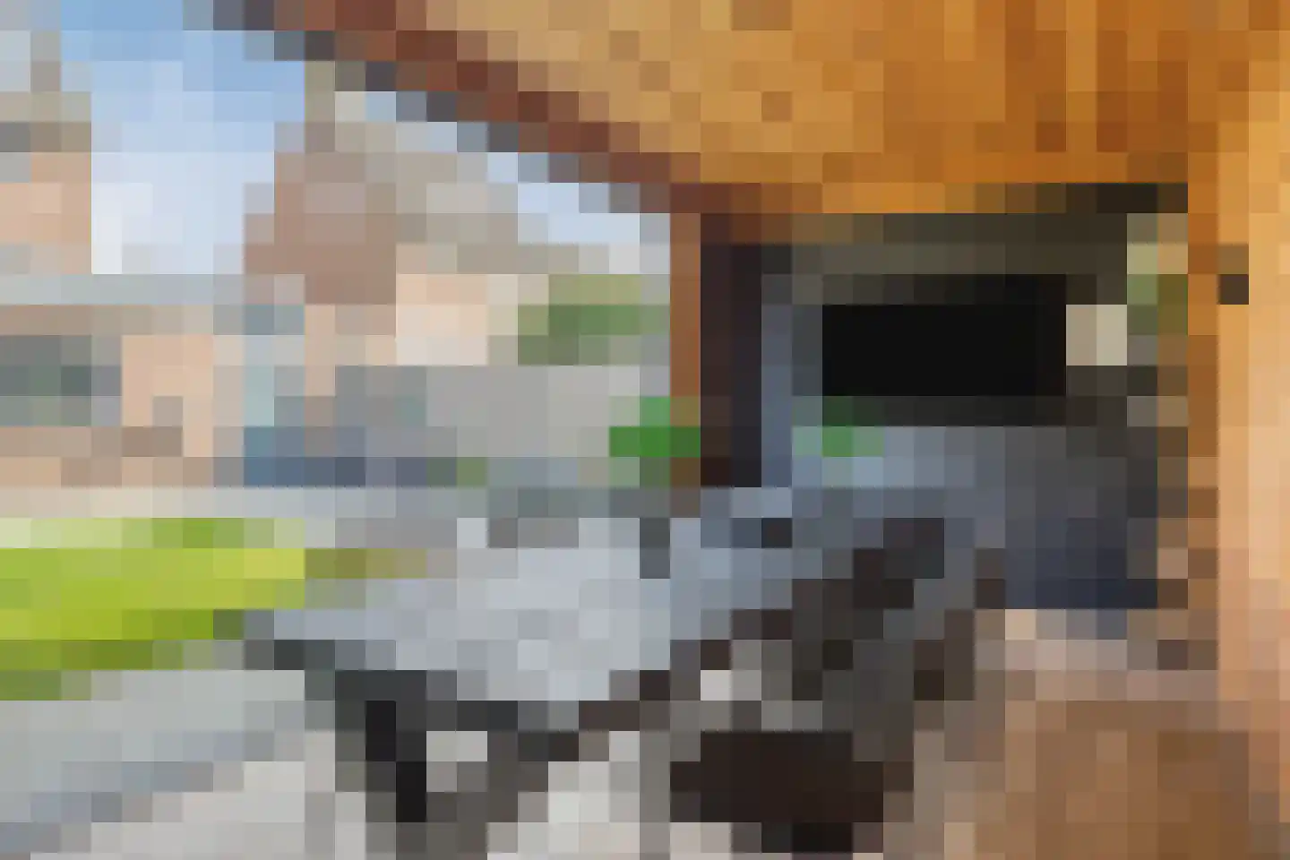 Van Deelenstraat 122 Oudheusden thumbnail 35