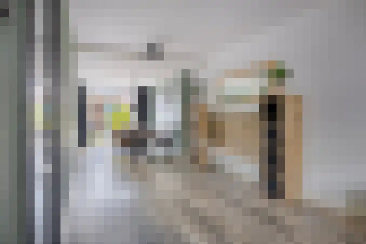 Van Deelenstraat 122 Oudheusden thumbnail 9