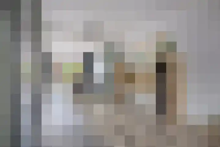 Van Deelenstraat 122 Oudheusden thumbnail 9