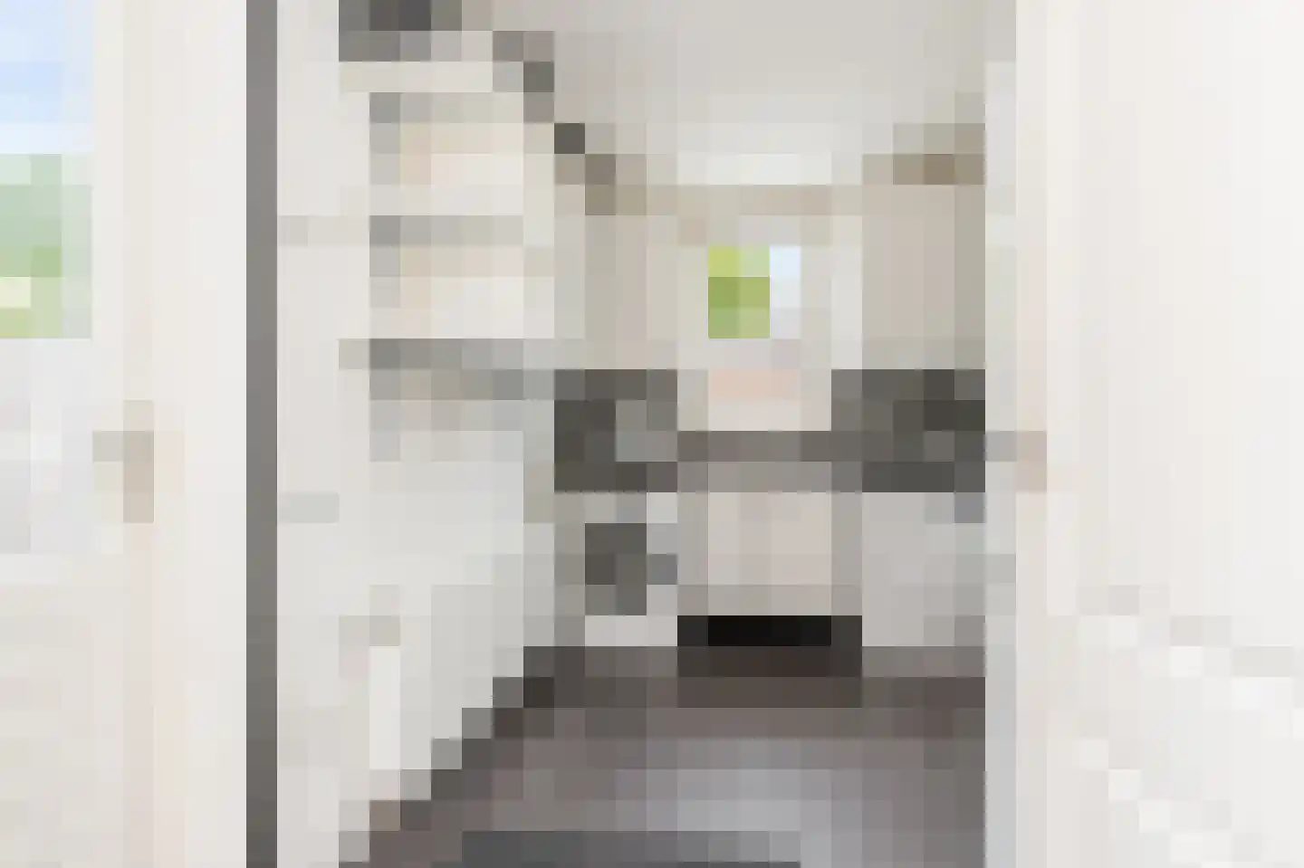 Van Deelenstraat 19 Oudheusden thumbnail 14