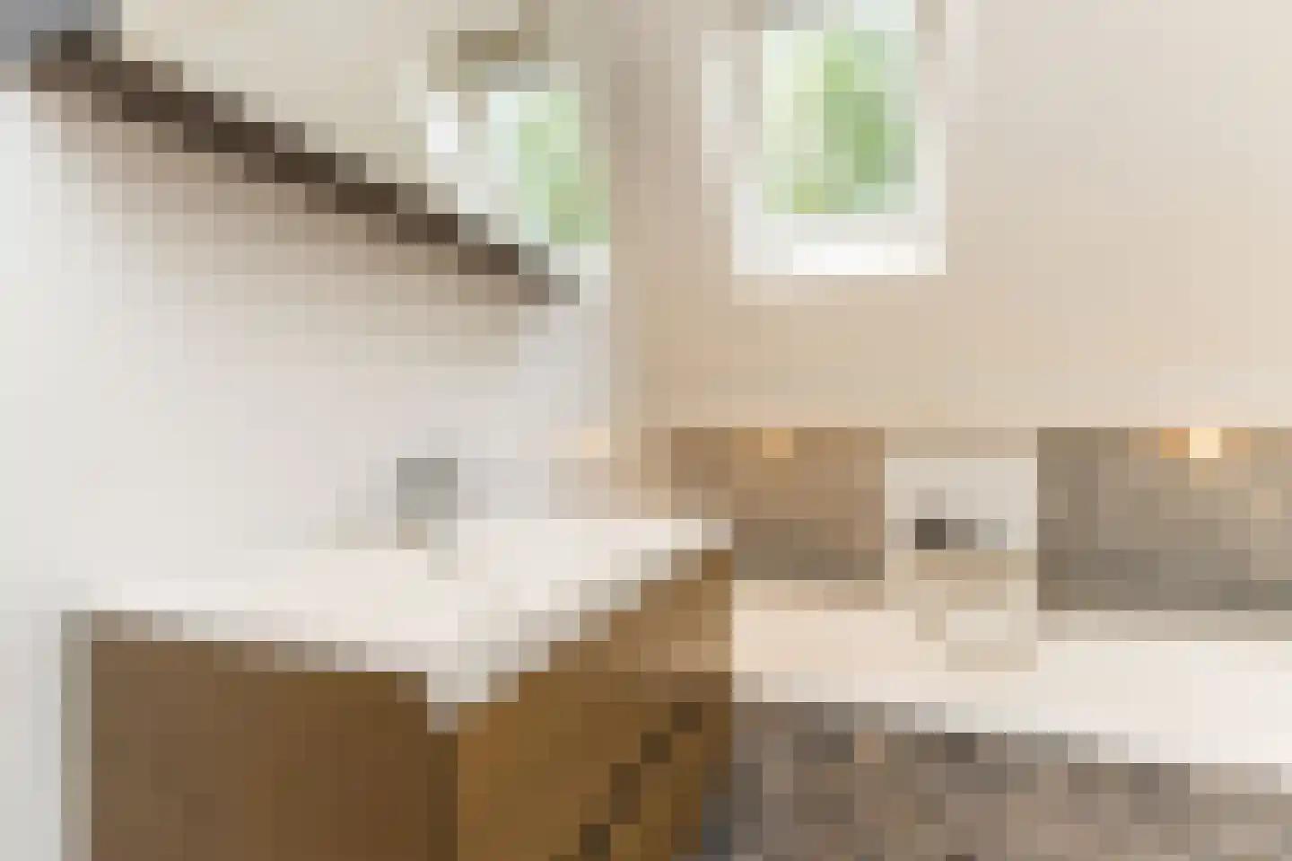Van Deelenstraat 19 Oudheusden thumbnail 21