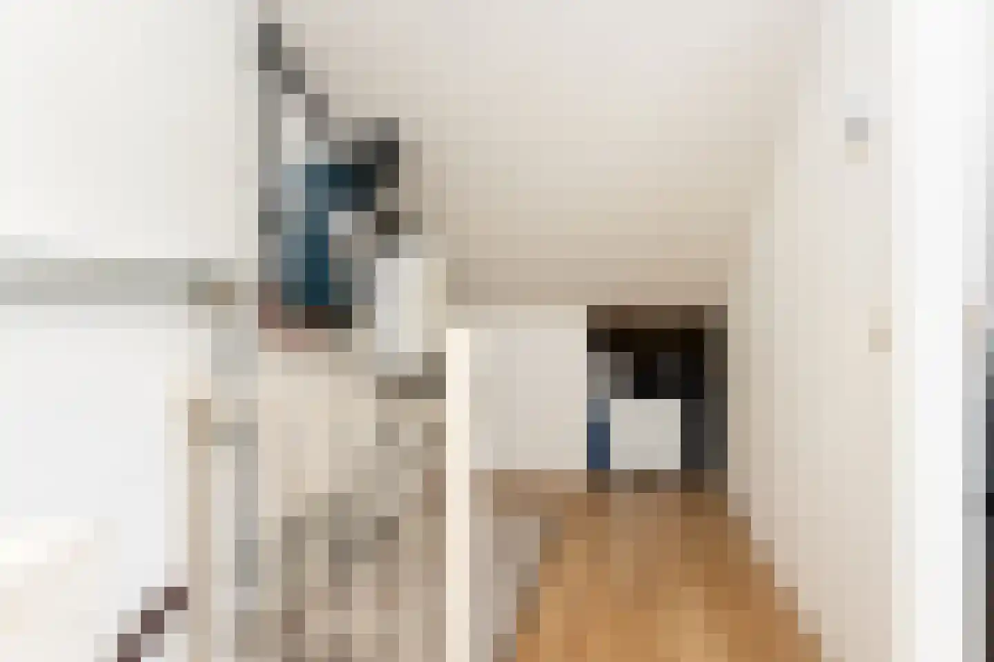 Van Deelenstraat 19 Oudheusden thumbnail 24