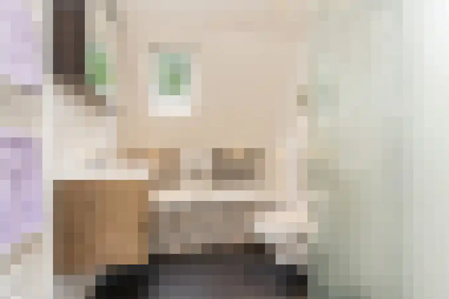 Van Deelenstraat 19 Oudheusden thumbnail 4