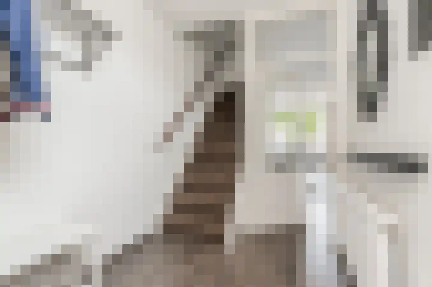 Van Deelenstraat 19 Oudheusden thumbnail 6