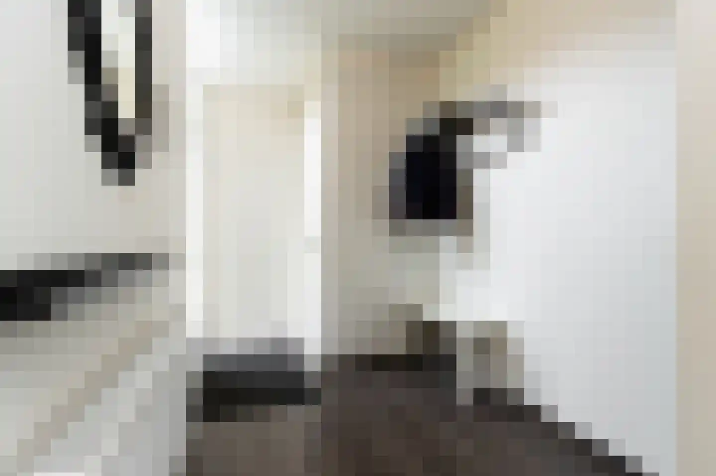 Van Deelenstraat 19 Oudheusden thumbnail 7