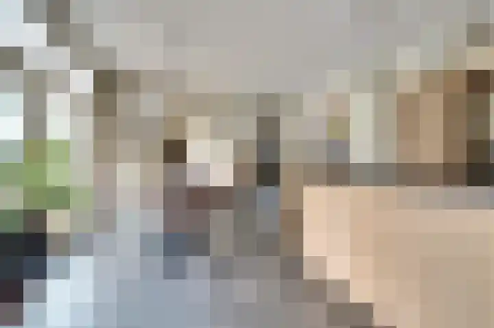 Van Deelenstraat 33 Oudheusden thumbnail 12