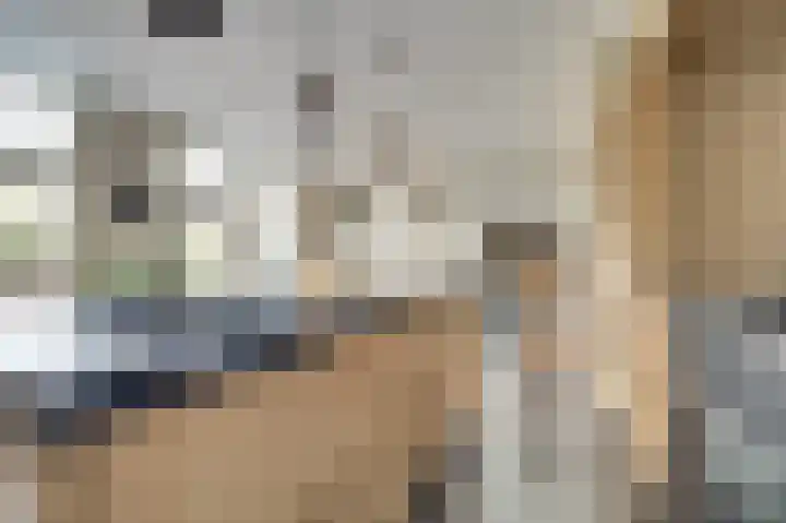Van Deelenstraat 33 Oudheusden thumbnail 14