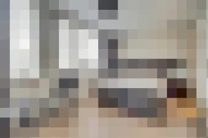 Van Deelenstraat 33 Oudheusden thumbnail 16