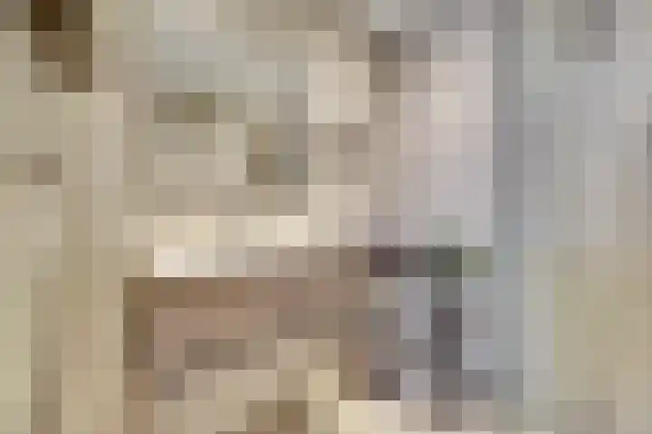 Van Deelenstraat 33 Oudheusden thumbnail 21