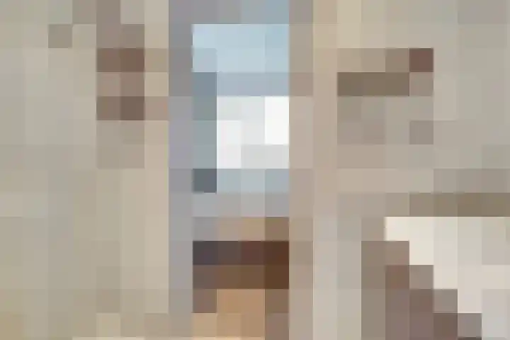 Van Deelenstraat 33 Oudheusden thumbnail 23