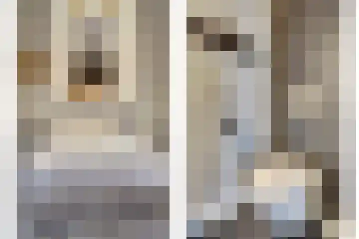 Van Deelenstraat 33 Oudheusden thumbnail 26